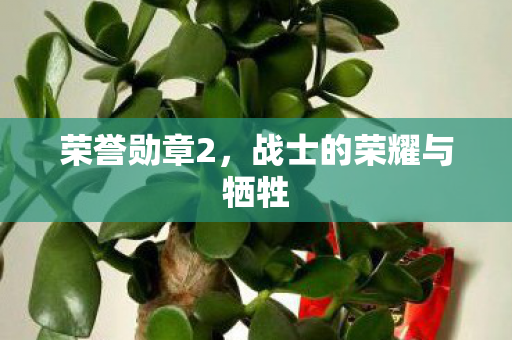 荣誉勋章2，战士的荣耀与牺牲