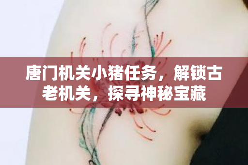 唐门机关小猪任务，解锁古老机关，探寻神秘宝藏