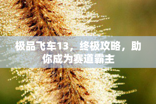 助你成为赛道霸主图片