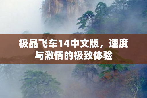 极品飞车14中文版，速度与激情的极致体验