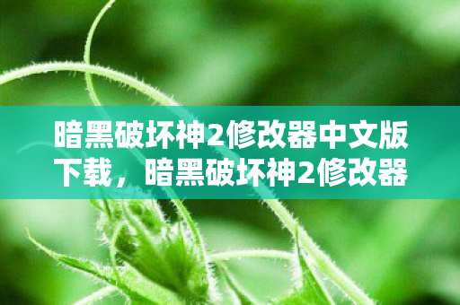 暗黑破坏神2修改器中文版下载，暗黑破坏神2修改器中文版，解锁无限可能的冒险之旅