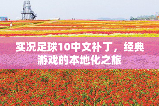 实况足球10中文补丁，经典游戏的本地化之旅