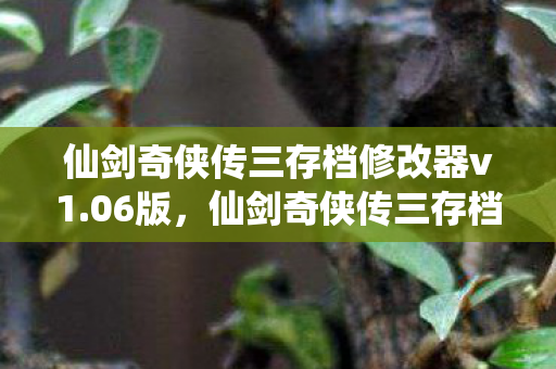 仙剑奇侠传三存档修改器v1.06版，仙剑奇侠传三存档修改器，重温经典，自由定制你的冒险