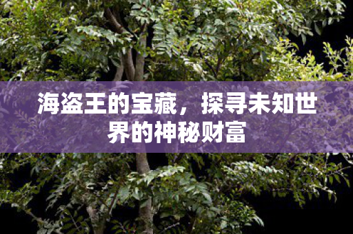 海盗王的宝藏，探寻未知世界的神秘财富