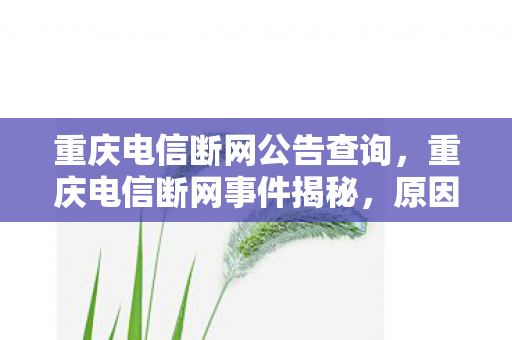 重庆电信断网公告查询，重庆电信断网事件揭秘，原因、影响与解决方案