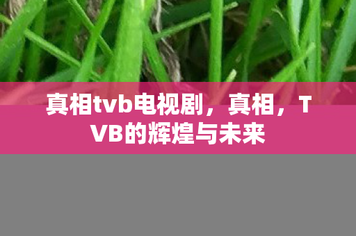 真相tvb电视剧，真相，TVB的辉煌与未来
