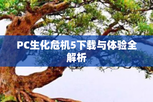 PC生化危机5下载与体验全解析