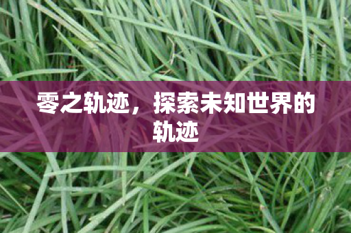 零之轨迹，探索未知世界的轨迹