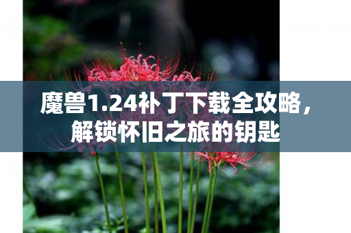 24补丁下载全攻略图片