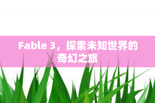 Fable 3，探索未知世界的奇幻之旅