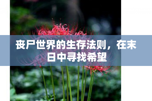 丧尸世界的生存法则，在末日中寻找希望