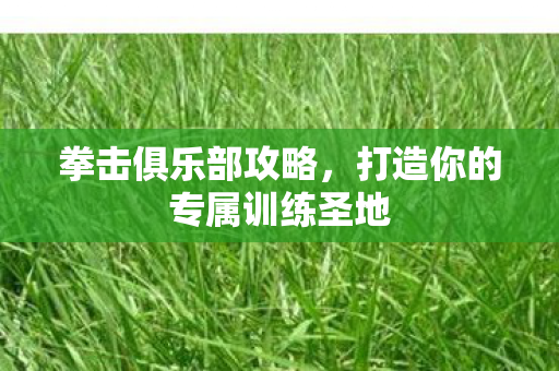 打造你的专属训练圣地图片