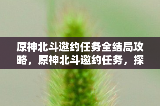 原神北斗邀约任务全结局攻略，原神北斗邀约任务，探索星辰与大海的浪漫之旅