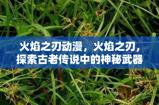 火焰之刃动漫，火焰之刃，探索古老传说中的神秘武器