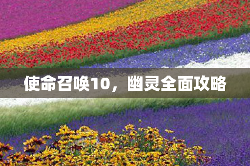 使命召唤10，幽灵全面攻略