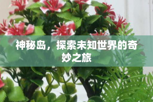 神秘岛，探索未知世界的奇妙之旅