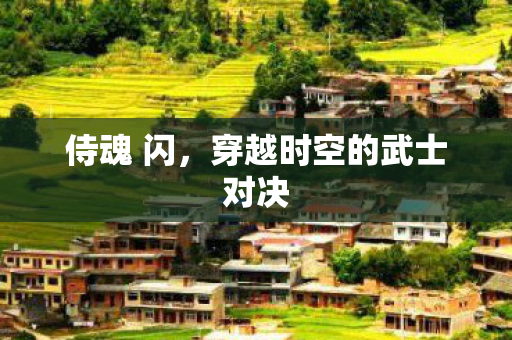 穿越时空的武士对决图片