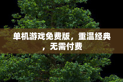 单机游戏免费版，重温经典，无需付费