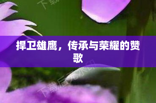 传承与荣耀的赞歌图片