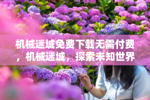 机械迷城免费下载无需付费图片
