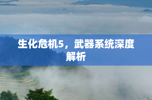 生化危机5，武器系统深度解析