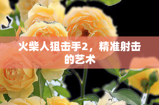 火柴人狙击手2，精准射击的艺术