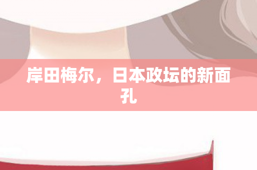 岸田梅尔，日本政坛的新面孔