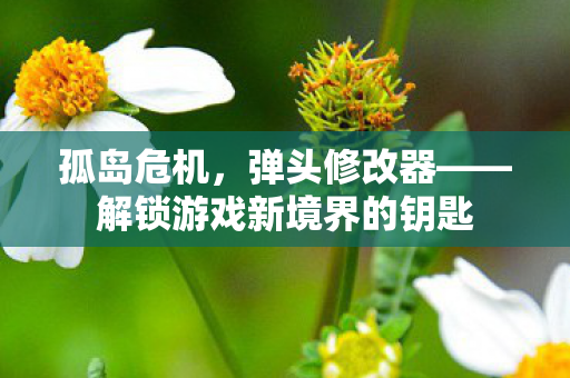 孤岛危机，弹头修改器——解锁游戏新境界的钥匙