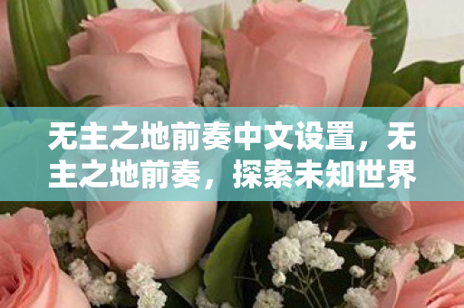 无主之地前奏中文设置，无主之地前奏，探索未知世界的冒险之旅