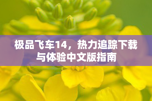 极品飞车14，热力追踪下载与体验中文版指南