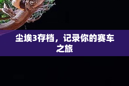 尘埃3存档，记录你的赛车之旅