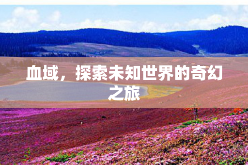 血域，探索未知世界的奇幻之旅