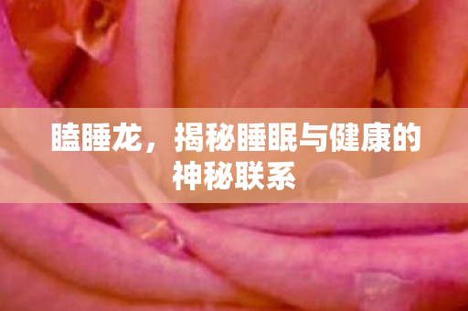 瞌睡龙，揭秘睡眠与健康的神秘联系