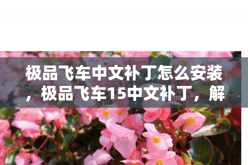 极品飞车中文补丁怎么安装，极品飞车15中文补丁，解锁速度与激情的中文之旅