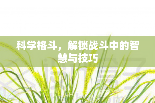 科学格斗，解锁战斗中的智慧与技巧