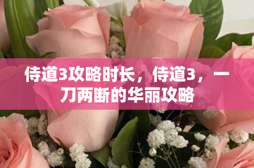 侍道3攻略时长，侍道3，一刀两断的华丽攻略