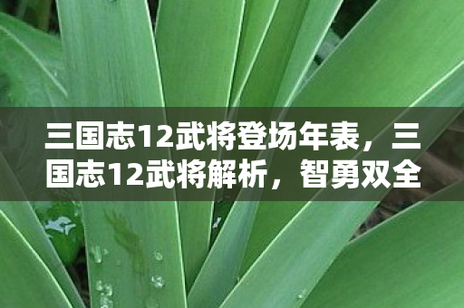 三国志12武将登场年表，三国志12武将解析，智勇双全的传奇人物