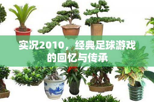 实况2010，经典足球游戏的回忆与传承