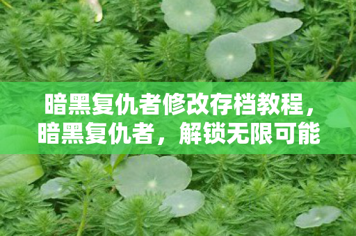 暗黑复仇者修改存档教程图片