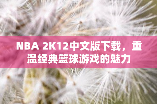 NBA 2K12中文版下载，重温经典篮球游戏的魅力
