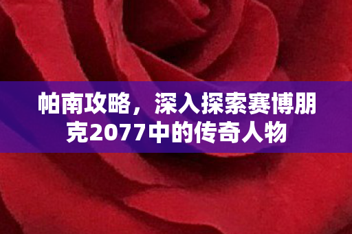 帕南攻略，深入探索赛博朋克2077中的传奇人物