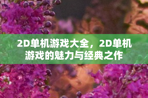 2D单机游戏大全，2D单机游戏的魅力与经典之作