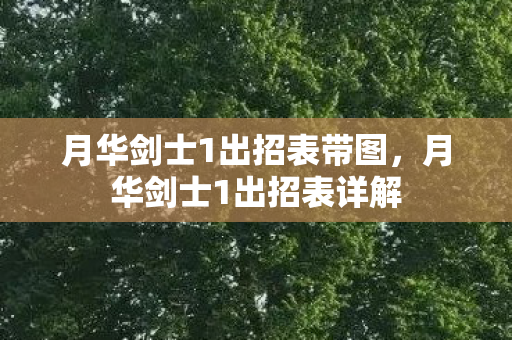 月华剑士1出招表带图，月华剑士1出招表详解