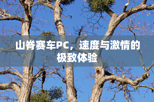 山脊赛车PC，速度与激情的极致体验