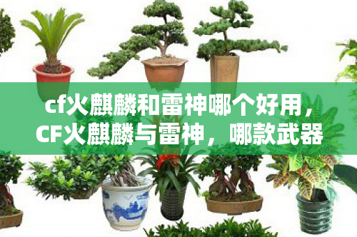 cf火麒麟和雷神哪个好用图片
