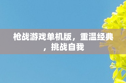 枪战游戏单机版，重温经典，挑战自我