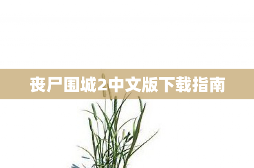 丧尸围城2中文版下载指南