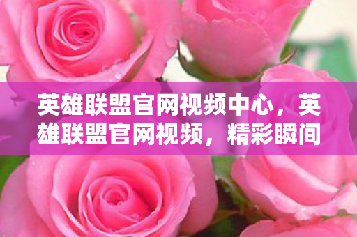 英雄联盟官网视频中心，英雄联盟官网视频，精彩瞬间与幕后揭秘