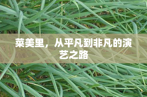 菜美里，从平凡到非凡的演艺之路