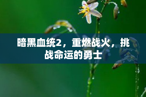 暗黑血统2，重燃战火，挑战命运的勇士